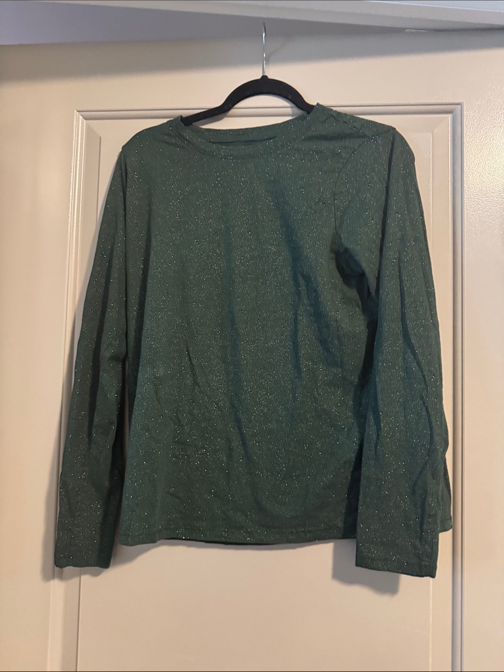 Sparkle Green Long Sleeve Top